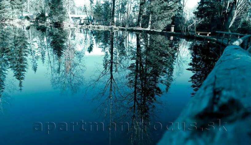 Apartmán Crocus 219 - Štrbské Pleso Vysoké Tatry